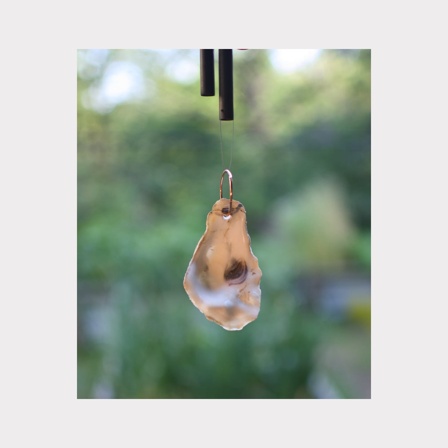 Detail, oyster half shell windsail for a wind chime.