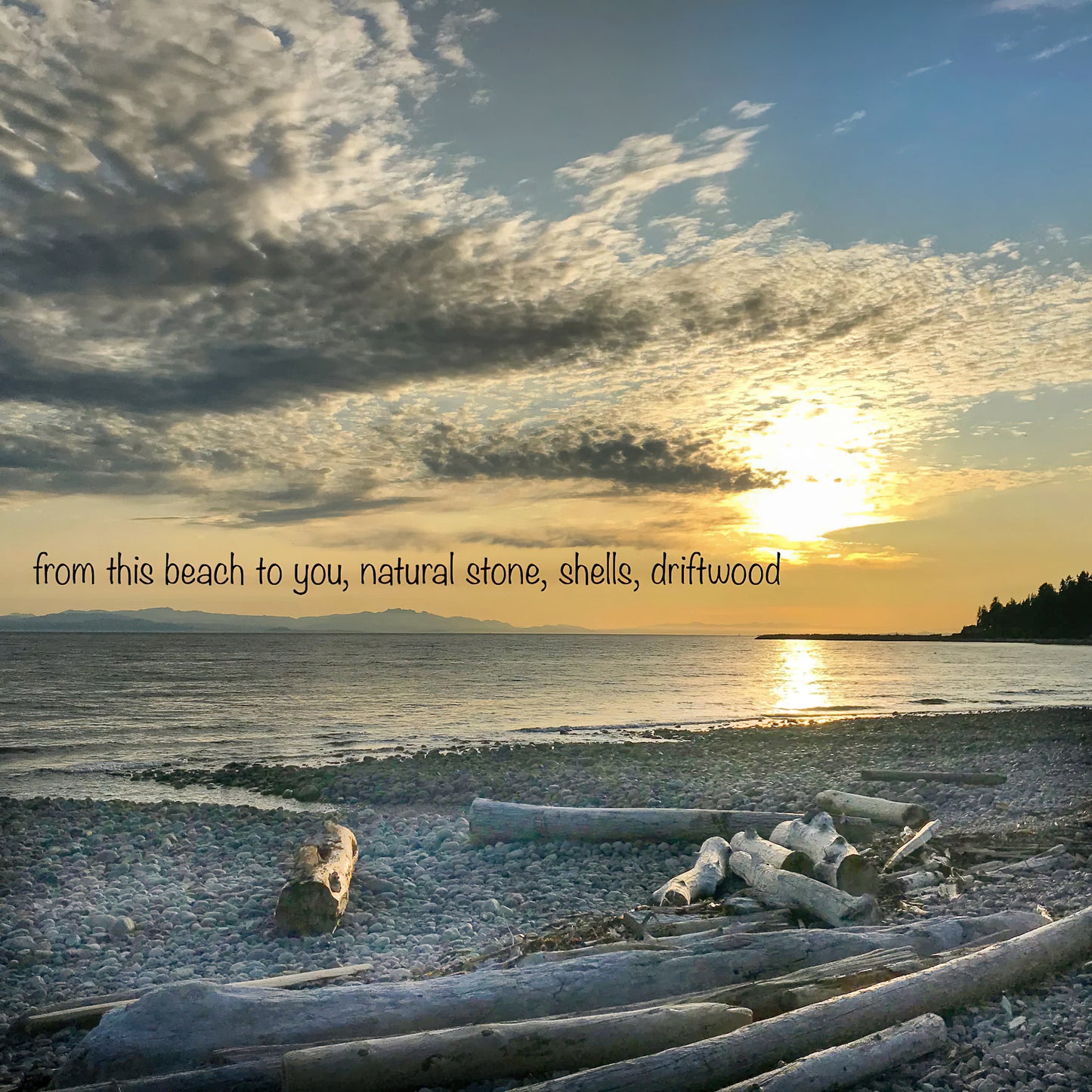 Wind Chime - Zen Beach Stones - Aluminum Chimes - Oyster Shell - Soothing Sound